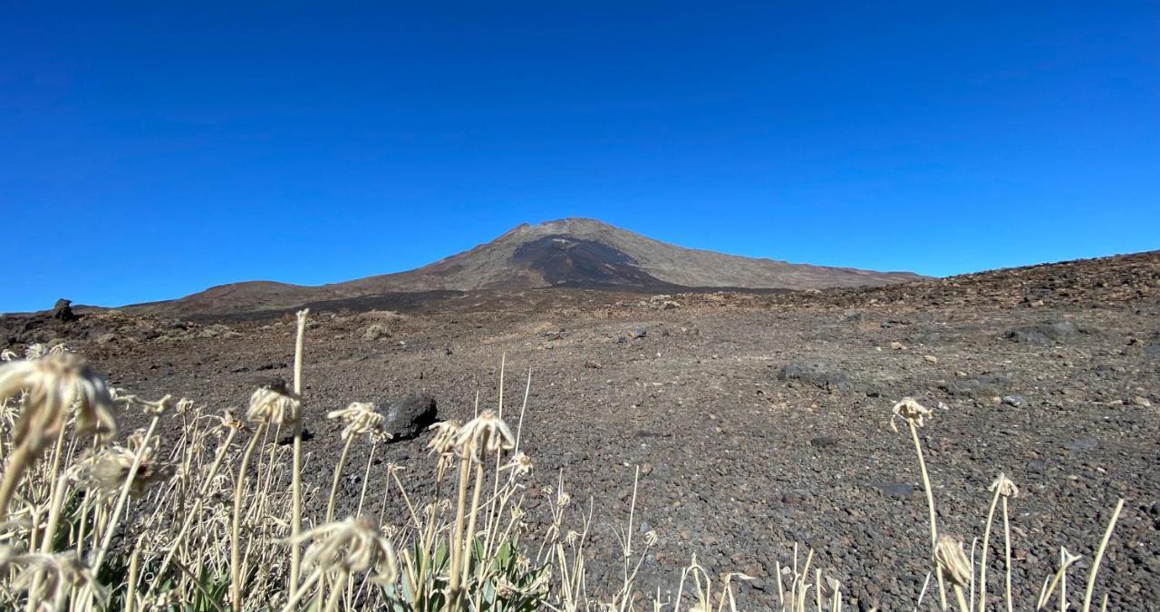 Finca Gaia La Segunda Guia de Isora  Luaran gambar