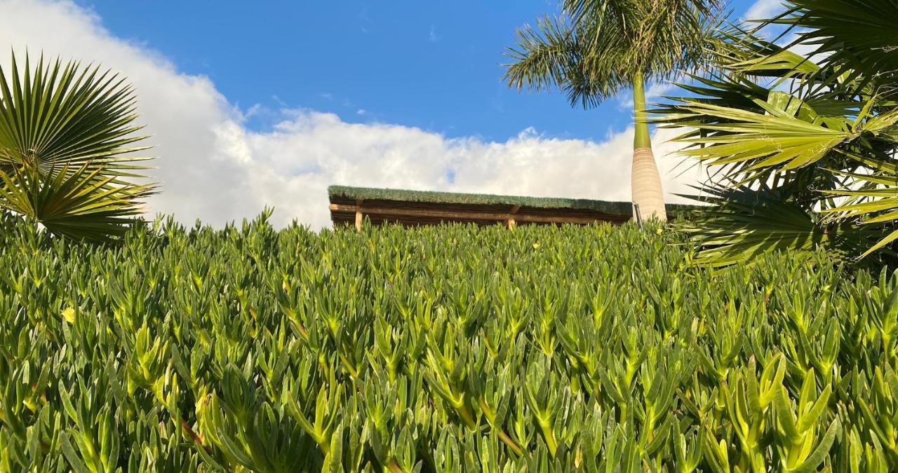 Finca Gaia La Segunda Guia de Isora  Luaran gambar